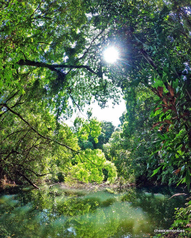 Lost Reservoir At Keppel Hill
