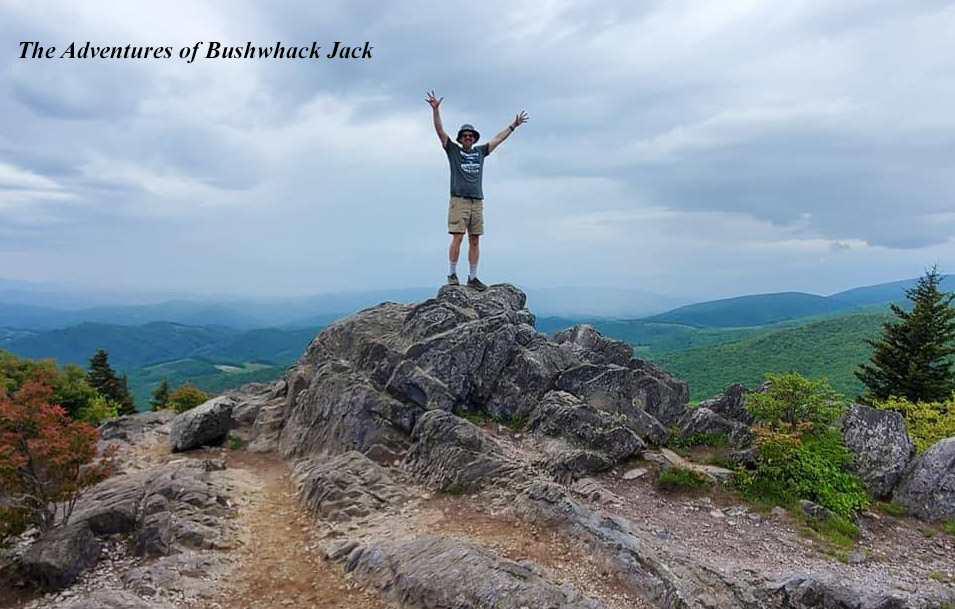 The Adventures of  Bushwhack Jack