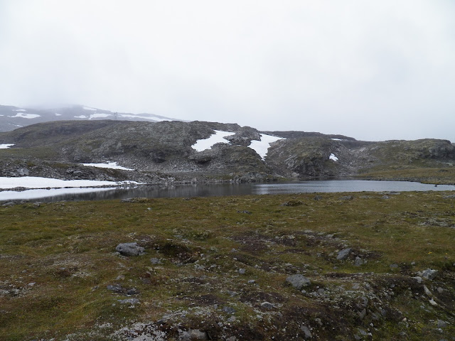 Día 7 (Carretera de las Nieves - Borgund - Glaciar Nigards) - Fiordos Noruegos - Oslo (14 días por nuestra cuenta) Agosto 2013 (2)