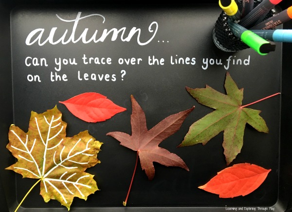 Autumn Leaf Lines with Chalk