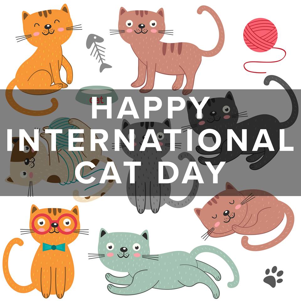 International Cat Day