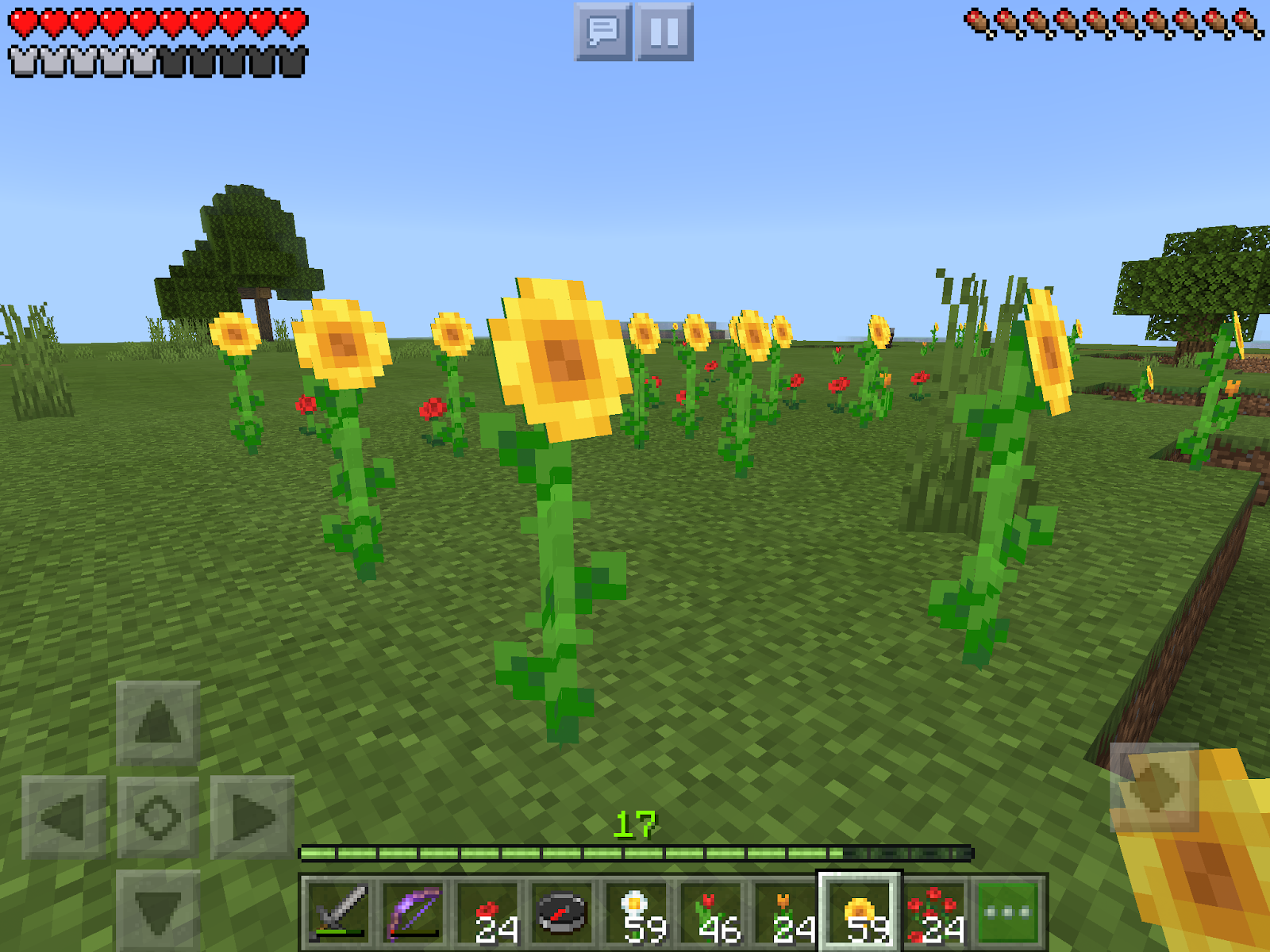 Pkiland: Mi mundo en Minecraft: Bitácora: Prados llenos de flores
