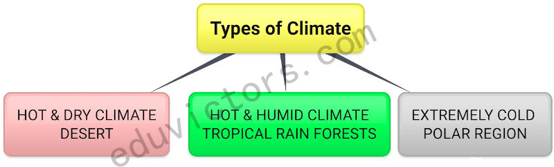 CBSE Papers, Questions, Answers, MCQ ...: CBSE Class 7 - Science - CH 7 -  Weather, Climate and Adaptations of Animals to Climate (Q and A - Part  2)(#eduvictors)(#cbse2020)(#class7Science)