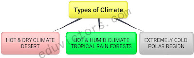 CBSE Class 7 - Science - CH 7 - Weather, Climate and Adaptations of Animals to Climate (Q and A - Part 2)(#eduvictors)(#cbse2020)(#class7Science)