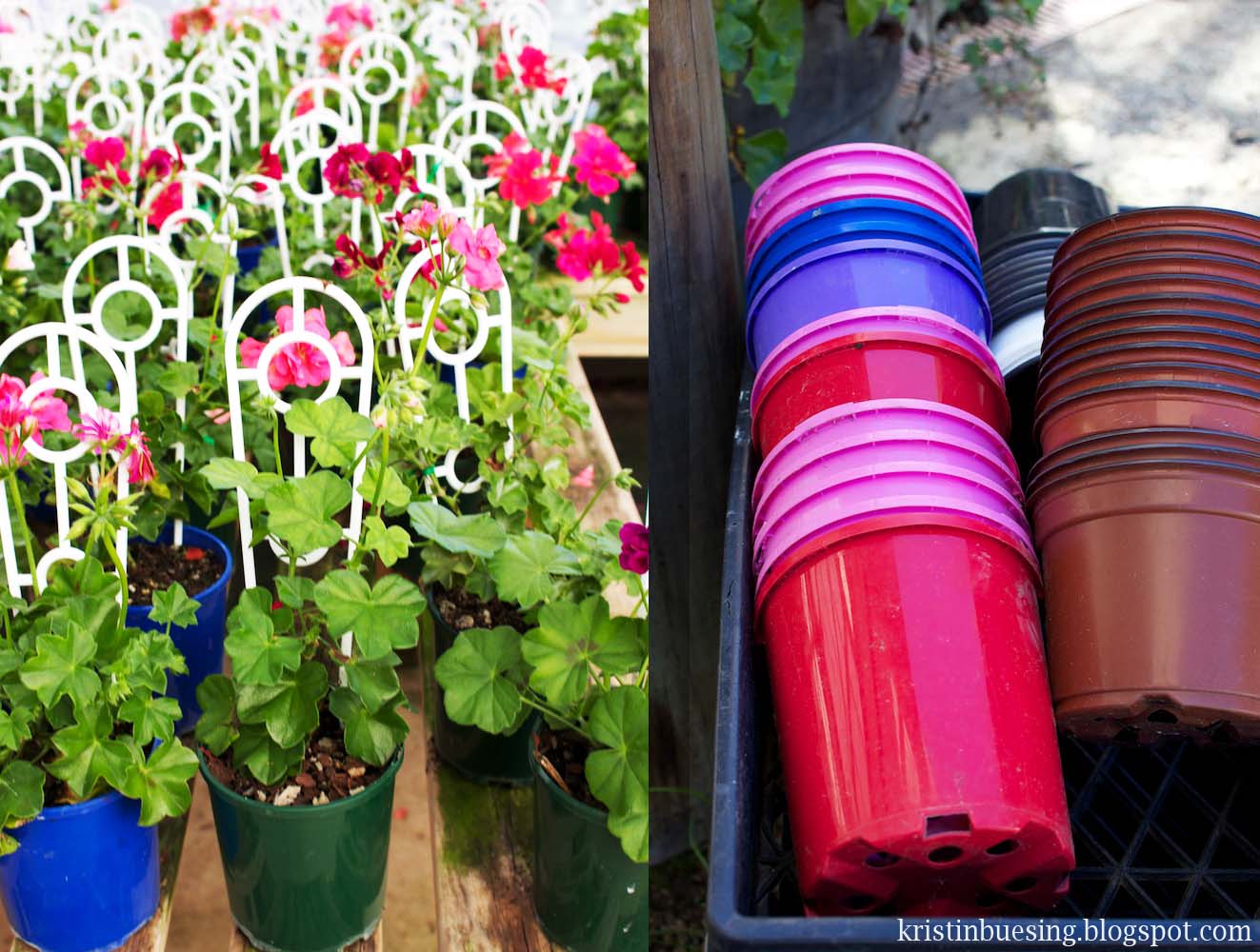 Flower Power Nursery Dural Flowers Power Photos