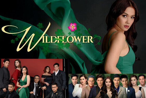 Wildflower December 29, 2017 Full Episode Replay lambingantvpinas