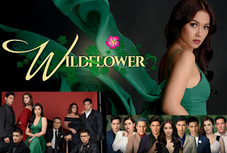 Wildflower December 29, 2017 Full Episode Replay lambingantvpinas