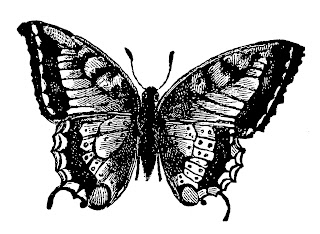 butterfly insect image clip art digital download