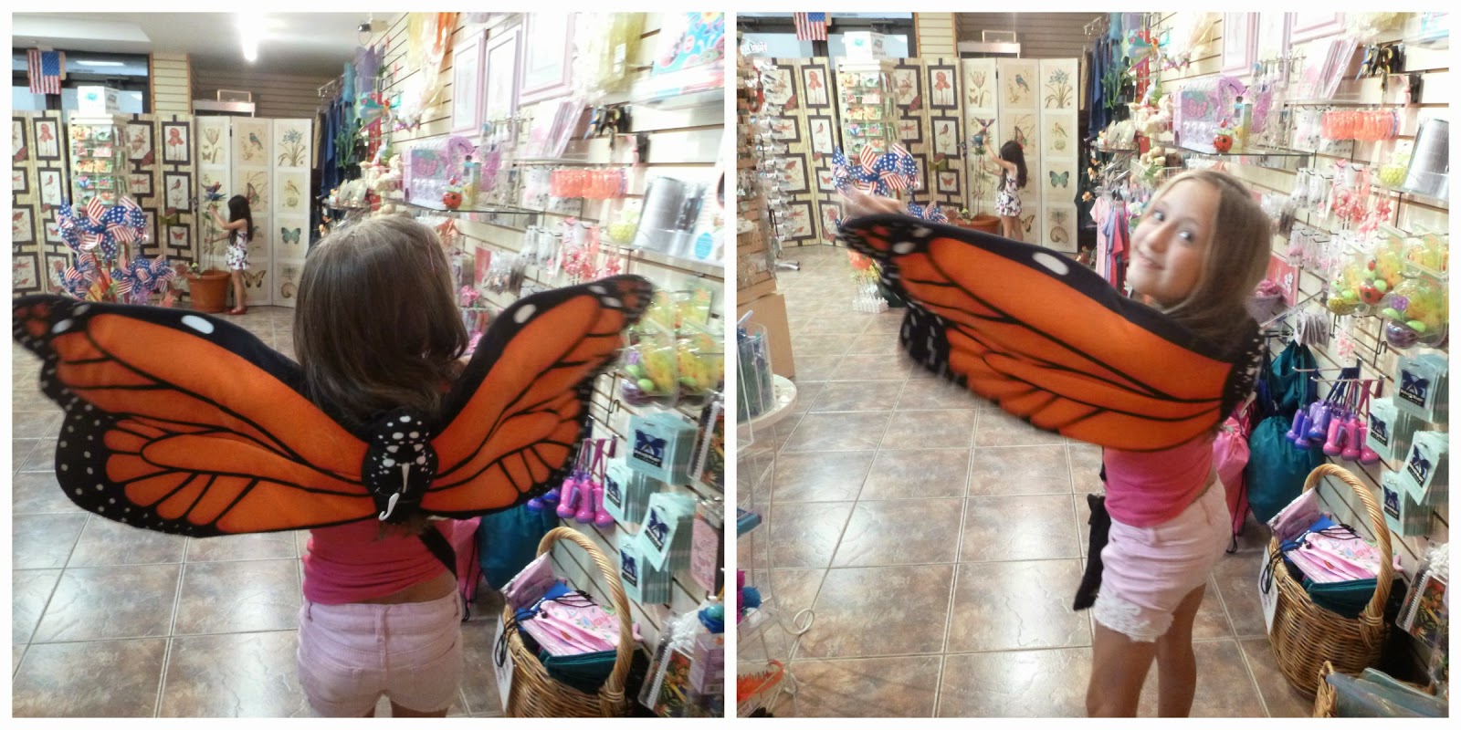 My Journey Butterfly World, Fort Lauderdale, Florida