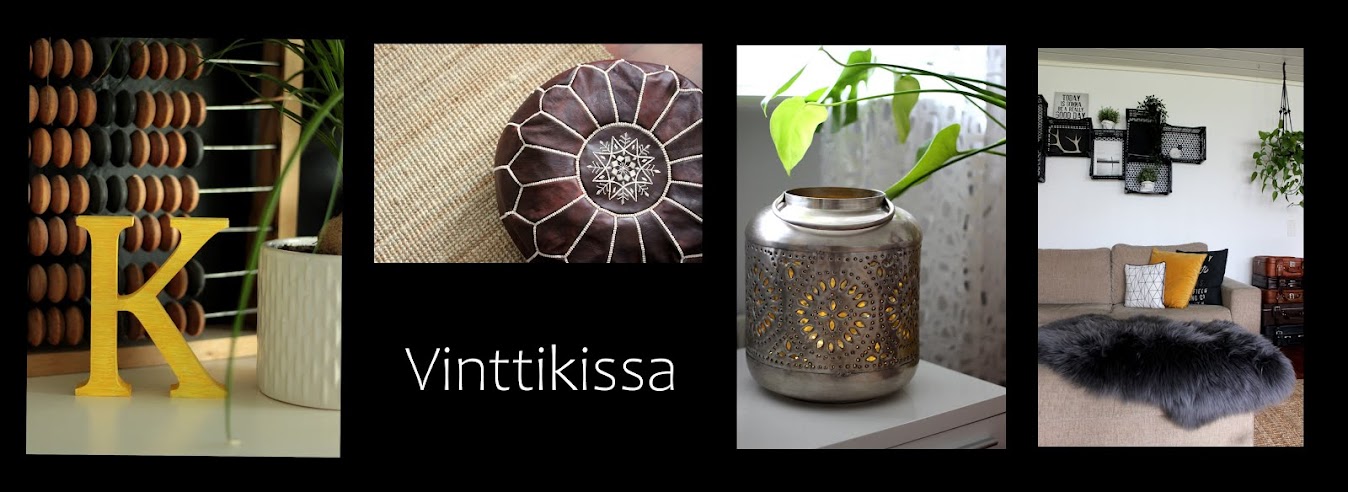 Vinttikissa