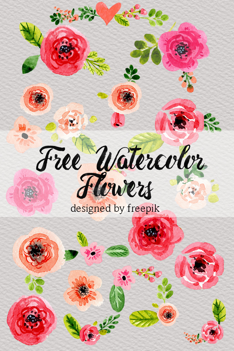 free watercolor flower clipart - photo #25