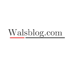 Top Nigerian News and Entertainment Blog | Walsblog