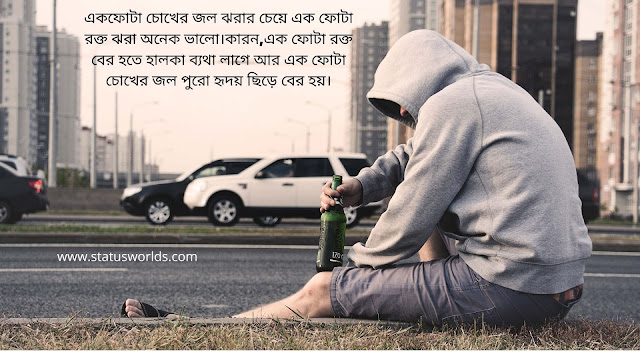 Bengali Status