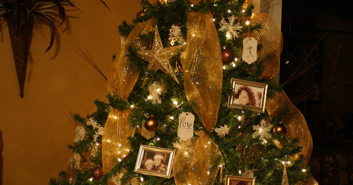 Today's Timeless Treasures: The $5 Christmas Tree