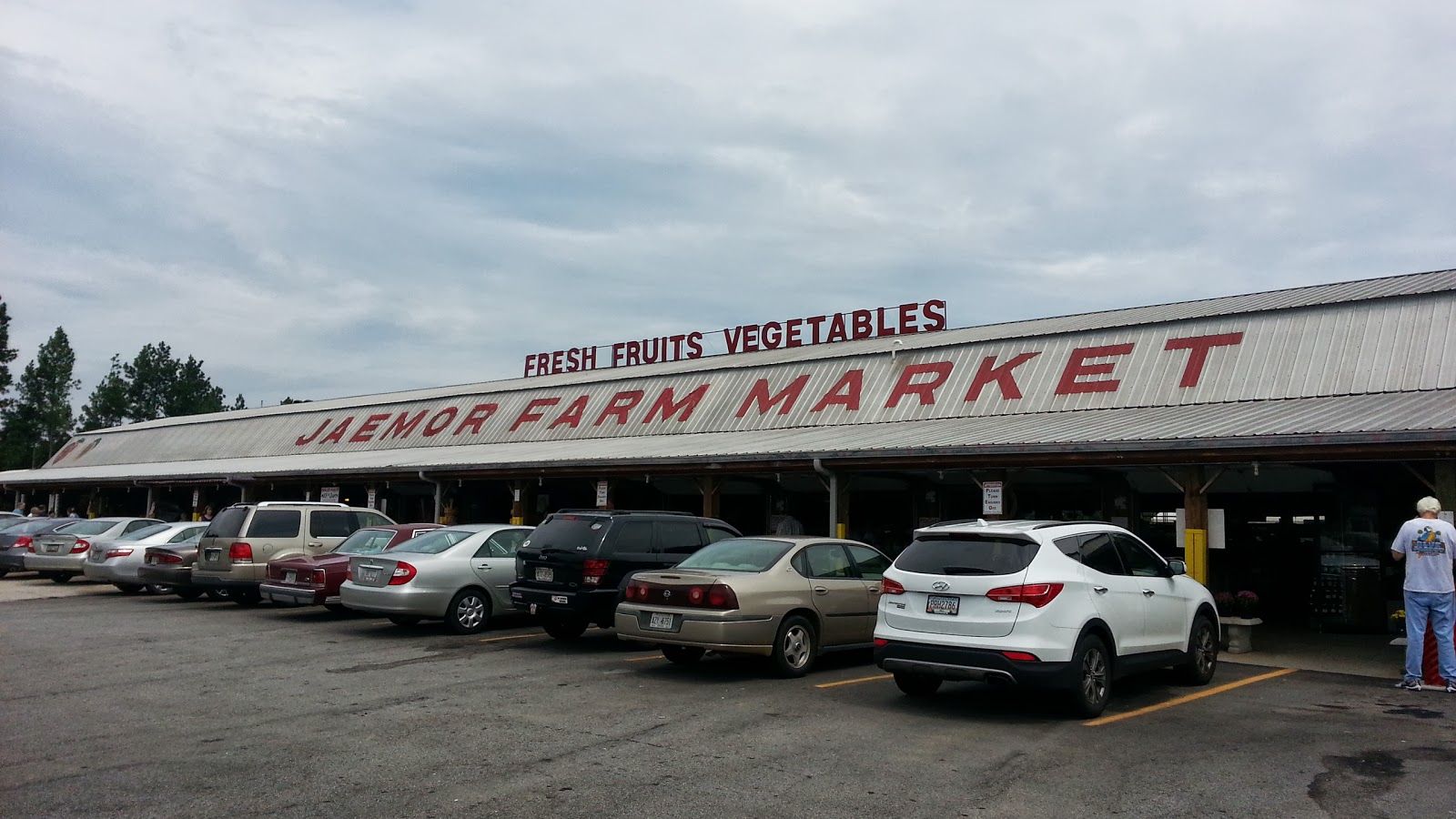 Lake Sidney Lanier Homes Blog In Search Of Fresh Produce And Farm