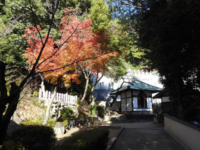 野崎観音・慈眼寺（じげんじ）の紅葉　薬師堂