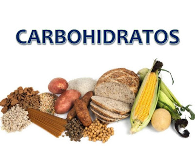 CARBOHIDRATOS Y SUS PORCIONES ADECUADAS