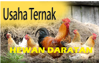 Peluang Usaha Ternak Yang Sangat Menjanjikan Peluang Usaha Ternak Yang Sangat Menjanjikan