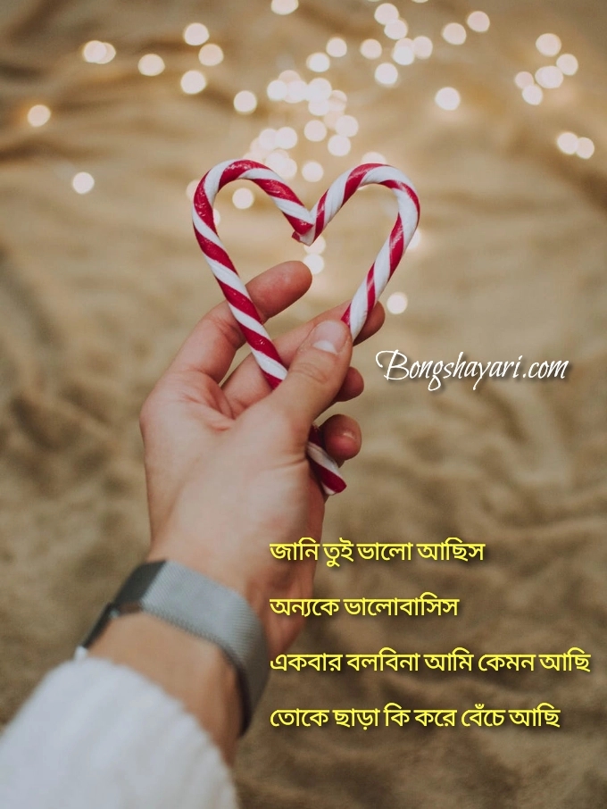 Bengali Love Shayari Download: 100+ Bengali Romantic Shayari With