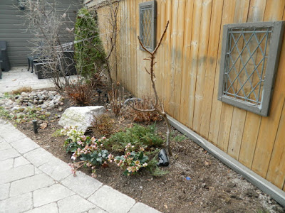 Leaside Toronto Spring Garden Cleanup after by Paul Jung Gardening Services Leaside Toronto Spring Garden Cleanup after by Paul Jung Gardening Services