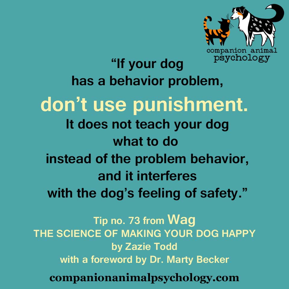 Three Tips for Happier Dogs from Wag