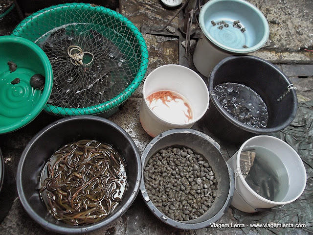 Eu juro que tudo isso se movia!!! - Mercado em Chiang Mai