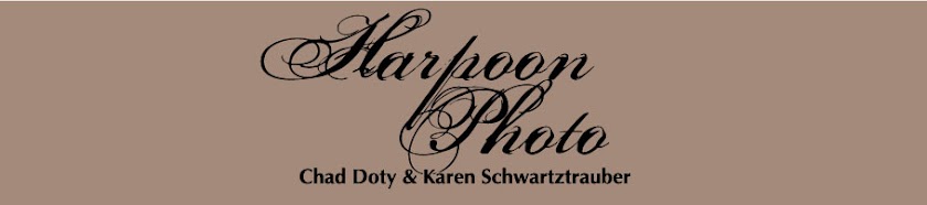 Harpoon Photography