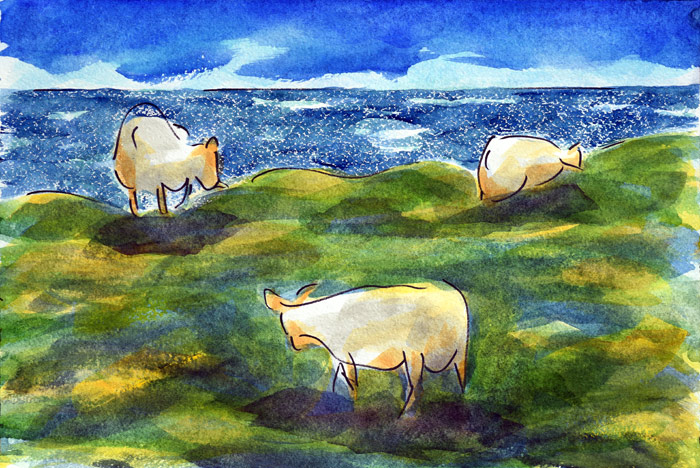 The Art Of Bruce Barn Gallery Exhibition