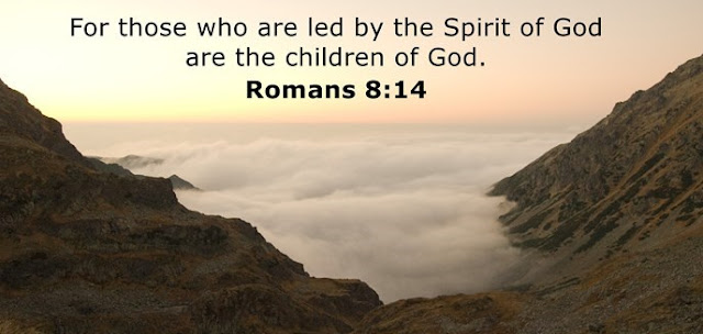    For those who are led by the Spirit of God are the children of God. 
