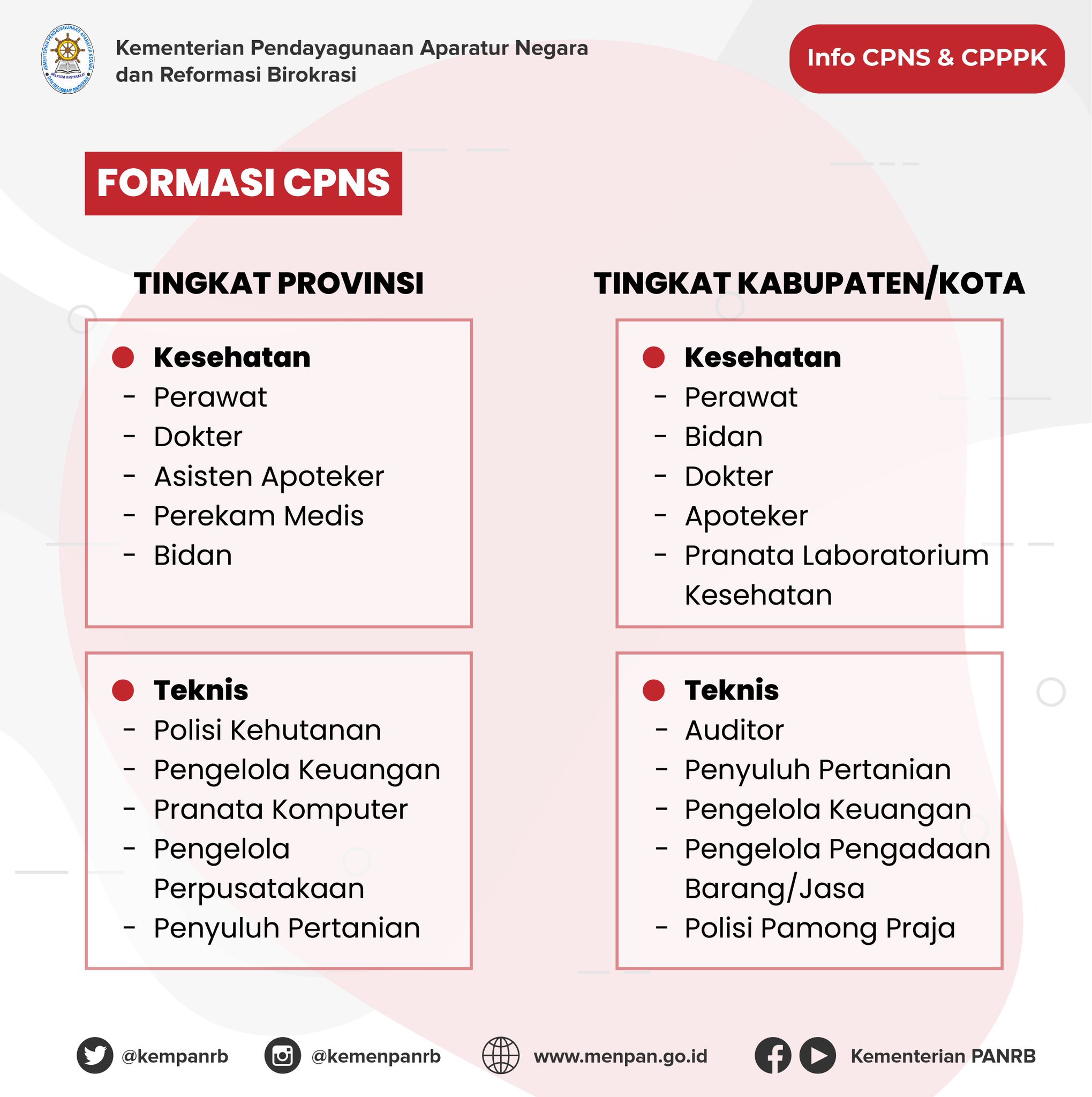 Formasi cpns dan pppk 2021 untuk semua instansi pusat dan daerah