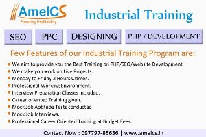 Industrial Training in Zirakpur At Amelcs