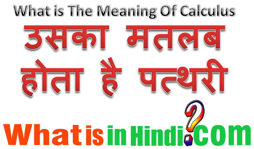 Calculus ka matlab kya hota hai Calculus in ultrasound का मतलब क्या