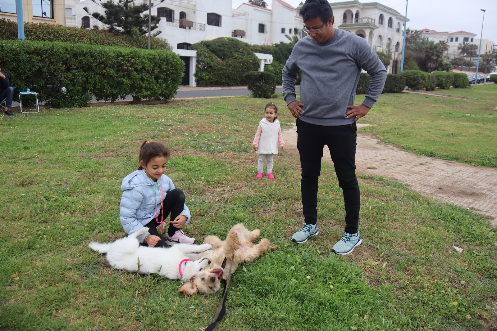 Education Et Dressage Du Chien A Casablanca Maroc