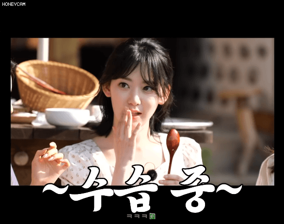Honeycam%2B11958.gif