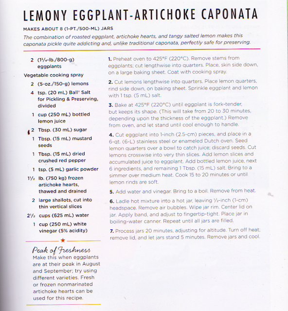 Safe Canning Recipes Zucchini and Eggplant