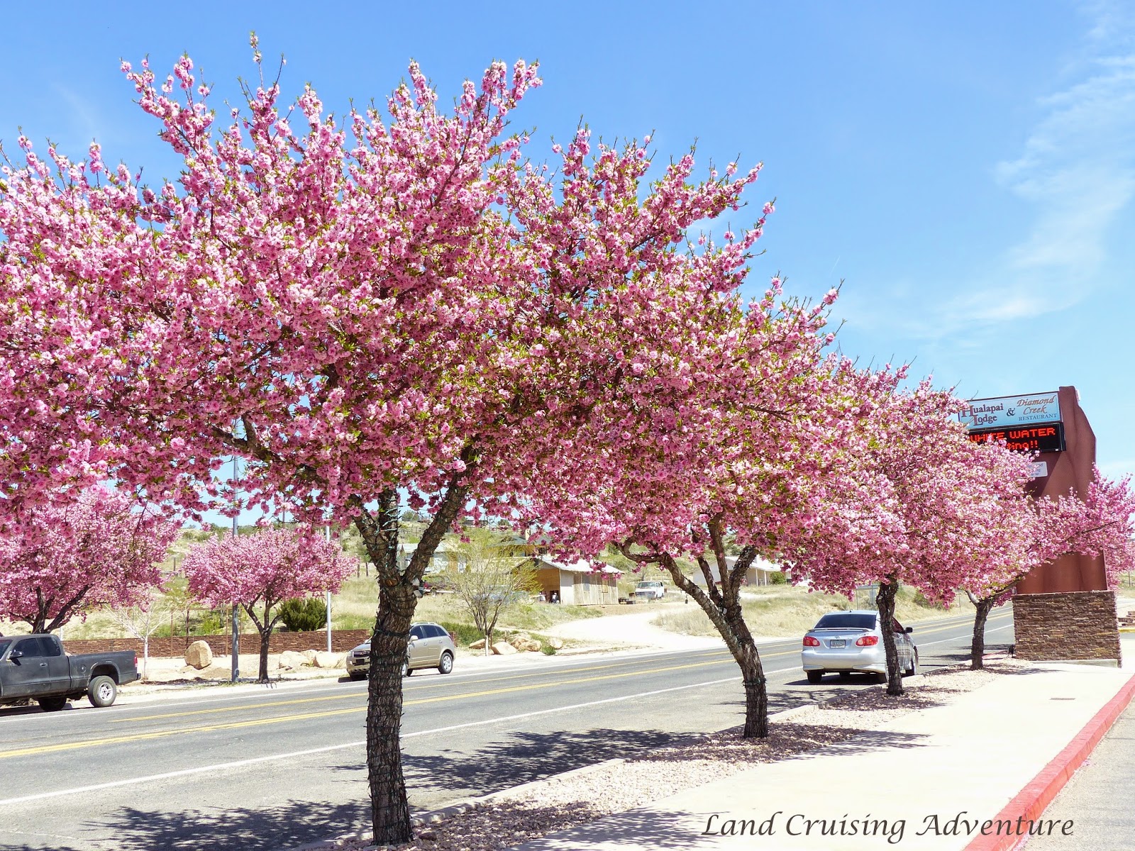 Land Cruising Adventure Route 66 in Arizona Kingman to Peach Springs