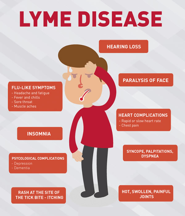 Lyme symtomps