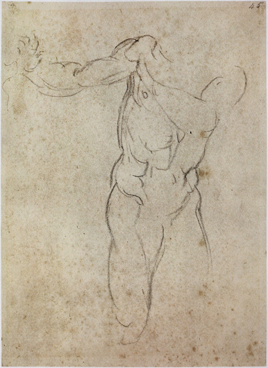 Michelangelo Buonarroti Sketches