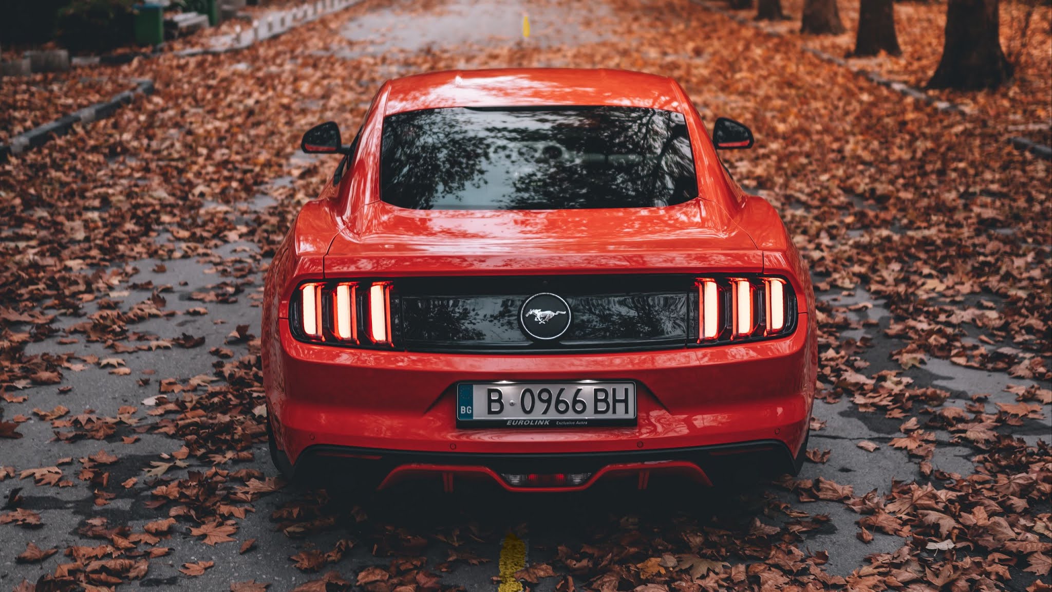 Ford Mustang Images Download ~ Gt Fastback Kolorowo Wallpapersmug ...