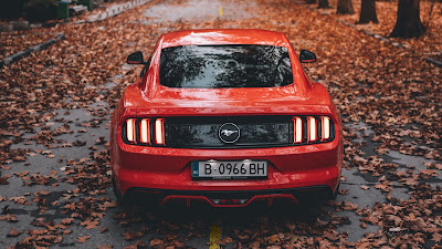 Autumn Ford Mustang Sports Car