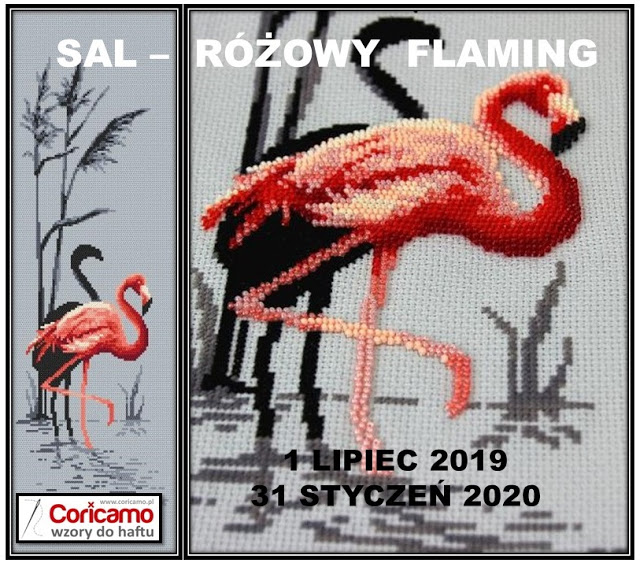 Sal-Różowy Flaming