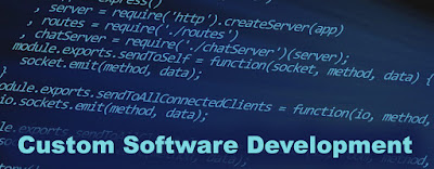 custom software development services in San Antonio, USA