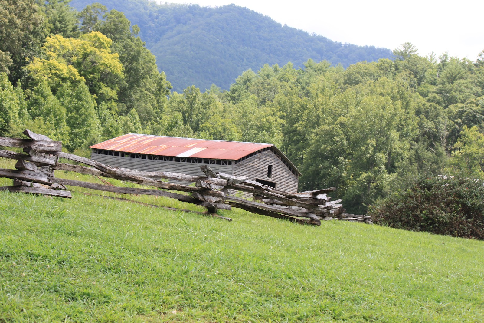 Occasionally Chic Early Settlement, Smoky Mountains, TN