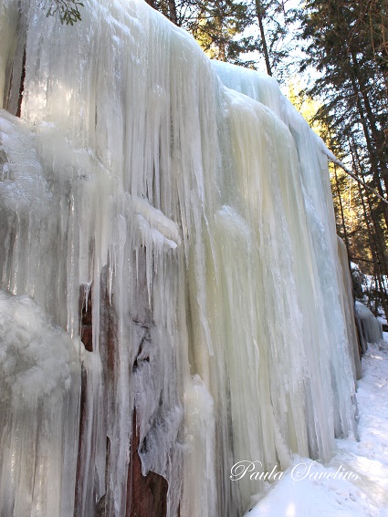 Jääpuikot roikkuvat kalliolla