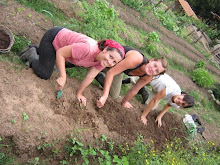 Volunteering in Aldea Luna!!! / Voluntariado en Aldea Luna!!!