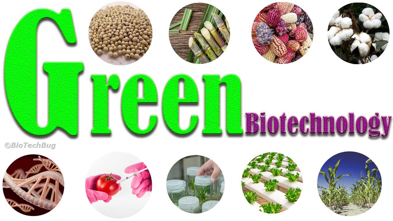 research paper about green biotechnology