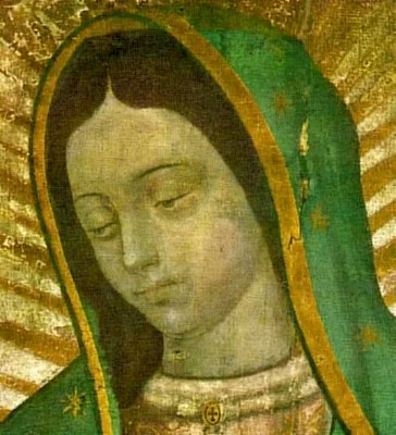 milagres-nossa-senhora-de-guadalupe