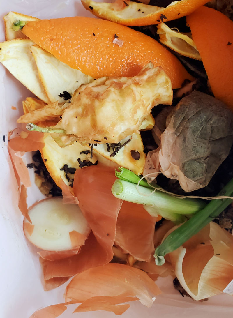 Toxic Treats! Things Chickens Shouldn't Eat Fresh Eggs Daily®