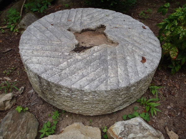 Toccoa Falls stone ground wheel by Dear Miss Mermaid