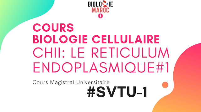 Cours Biologie Cellulaire S1 | Chapitre II : LE RÉTICULUM ENDOPLASMIQUE #1